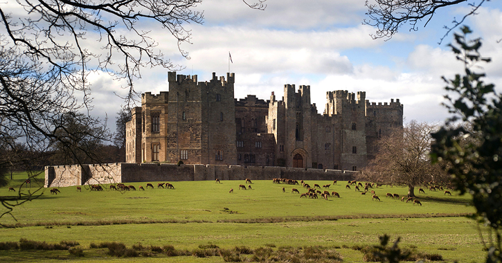 view of Raby Castle and deer park during winter season